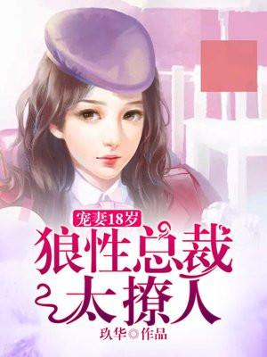 宠妻18岁:狼性总裁太撩人