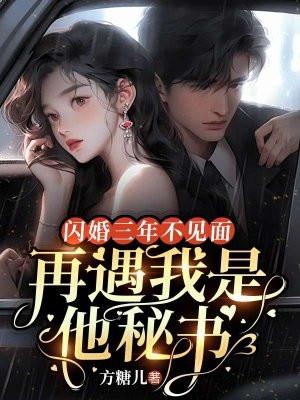闪婚三年不见面,再遇我是他秘书