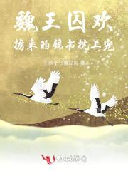 魏王囚欢:掳来的锦书枕上宠